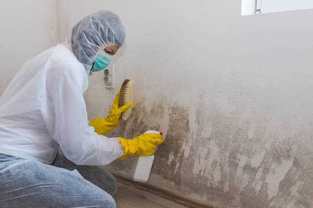 Best Crawl Space Mold Remediation  in Sheridan, CA