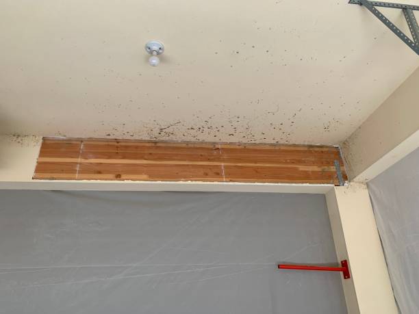 Mold Remediation for Vacation Homes in Sheridan, CA